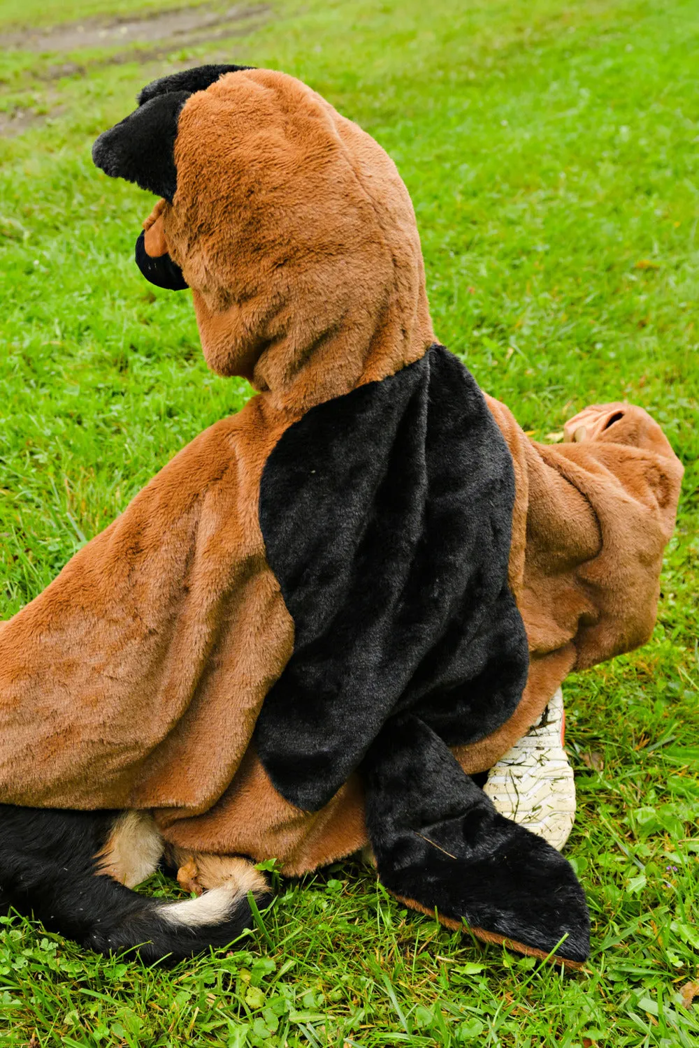 Dog Cuddle Cape 4-6