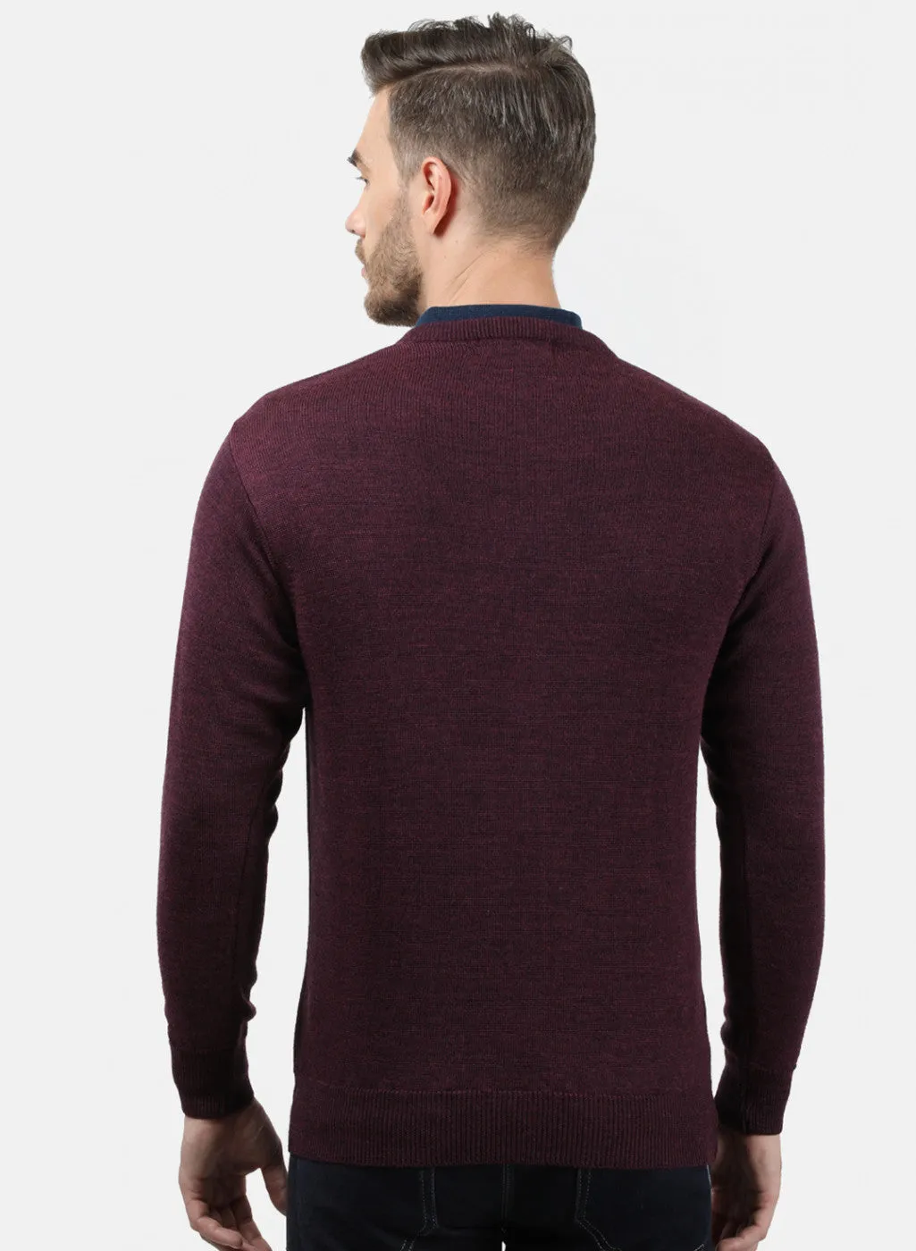 Men Purple Solid Pullover